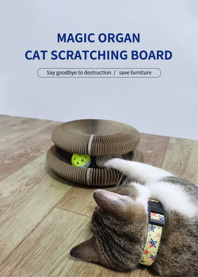 Magic Cat Scratching Board