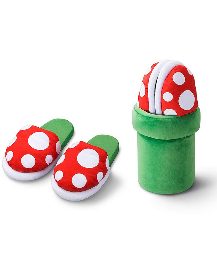 Super Mario Slippers